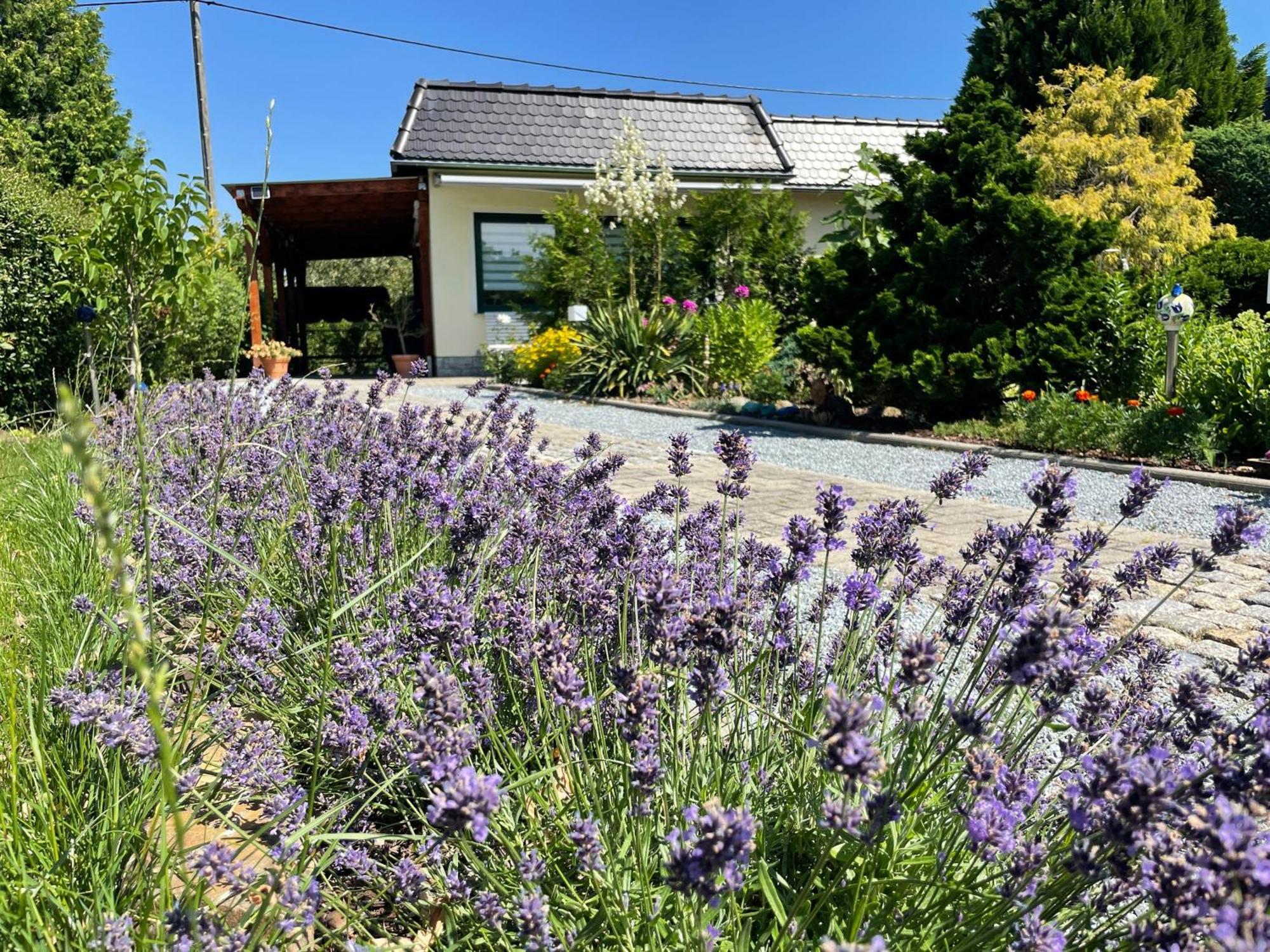 Ferienhaus Amare Mit Fasssauna, Eigener Terrasse & Kamin 바우트젠 외부 사진